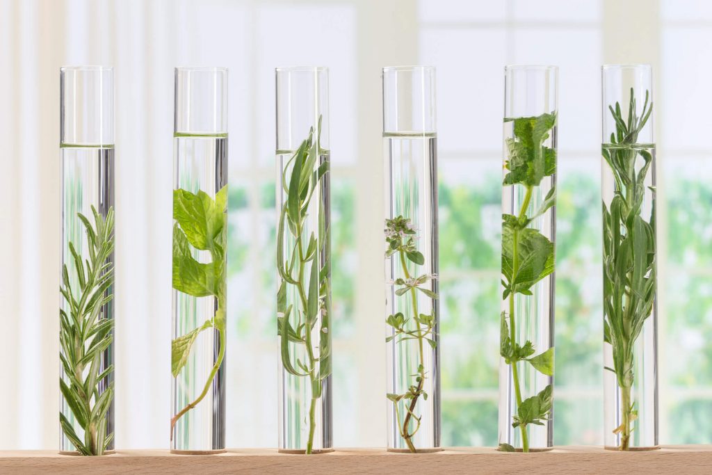 ¿Cosmética natural y/o orgánica como única opción?